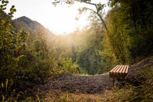 Grajska pot_2 (Arhiv Občine Kozje)